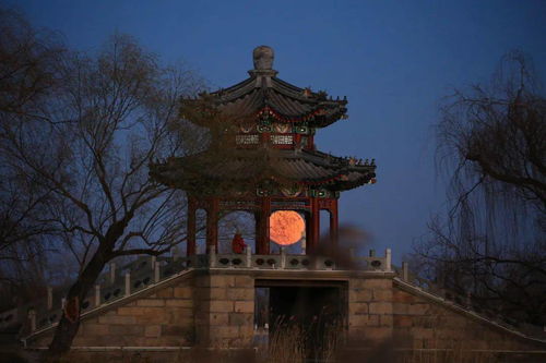 北京市文化旅游局迎双节 预约去颐和园等公园赏月(北京市文化旅游局副局长)