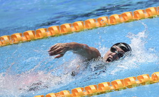 游泳 男女4X100米自由泳接力 美国队打破世界纪录
