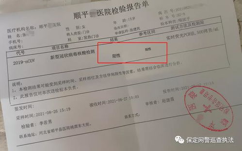 为恶搞 P 图他人核酸检测报告成 阳性 保定顺平县一女孩被行政处罚
