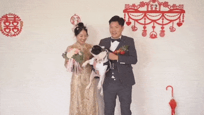 婚礼上狗子一脚踹开新娘,索吻新郎...新娘 我养了个白眼狼
