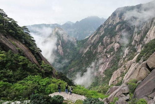 游客风雨中爬黄山崩溃想回家,人太多进退两难