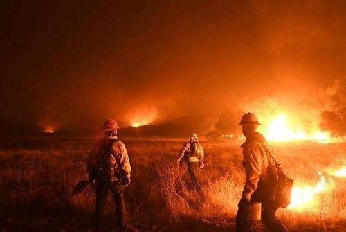 美国加州山火难以熄灭,8200多所建筑物被毁,5万人失去家园