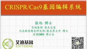 2020年诺贝尔生理学或医学奖发布会