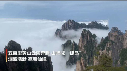黄山雨后云海圈粉2万游客 云海奇观图片曝光 五岳都是哪五座山 