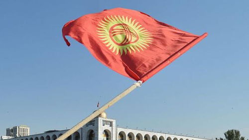 吉尔吉斯斯坦中央选举委员会宣布议会选举无效(李白 吉尔吉斯斯坦)