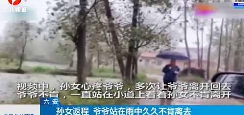 孙女返程爷爷雨中相送不肯离开,他们送的除了儿女还有自己的青春