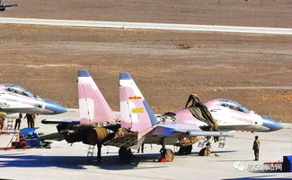 中国战机粉红涂装,你见过吗