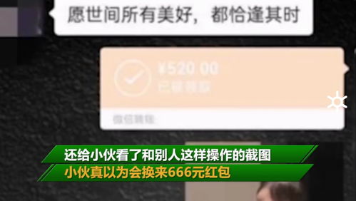 河北小伙被网友套路 发520元红包收到数字666,对方 你学废了吗