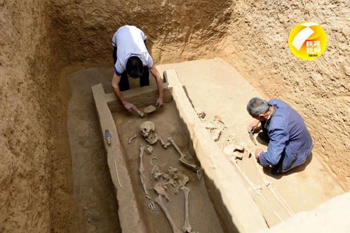 陕西寨山遗址发现多处活人殉葬墓 初判均为女性,有被砍迹象
