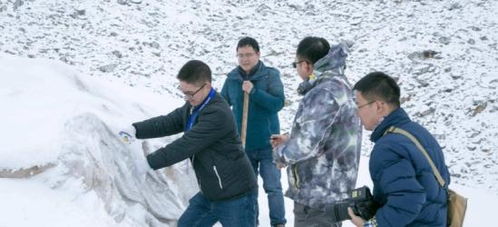 中国科学家想出新招,给冰川盖 被子 ,轻松解决冰川融化的问题