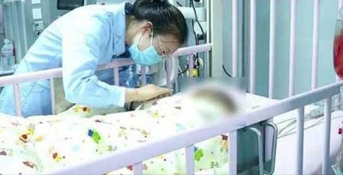 一家三口采板栗被胡蜂蜇伤 孩子未脱险,父亲仍在ICU