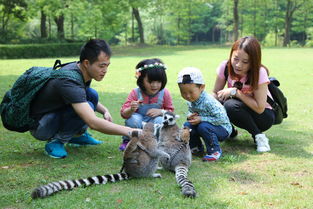 上海野生动物园双12特惠成人票