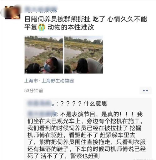 上海野生动物园员工遭熊撕咬致死 后续,死亡原因曝光