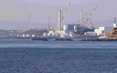 韩国济州岛知事袁喜龙:日本决定将核污水排入海中