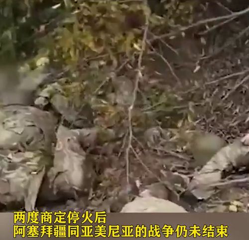 这就是战争 阿塞拜疆士兵阵亡画面罕见公开,无人收尸,散落荒野 