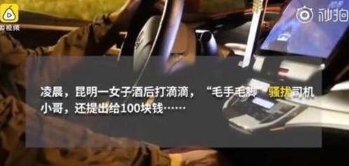 女子酒后骚扰男司机,滴滴永久禁封,网友 性别一换,评论过万