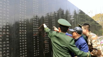 安眠70年的战友,我又来看你们了 94岁老兵祭扫70年前牺牲战友 