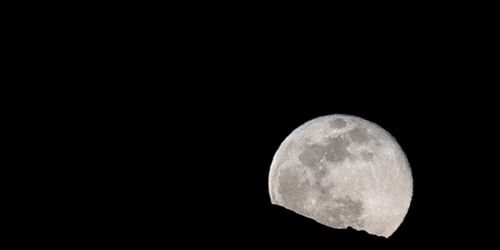 诺基亚计划在月球上建设首个4G网络