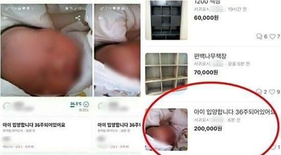 韩国妈妈二手网站卖娃 只要1200元人民币,称活不起