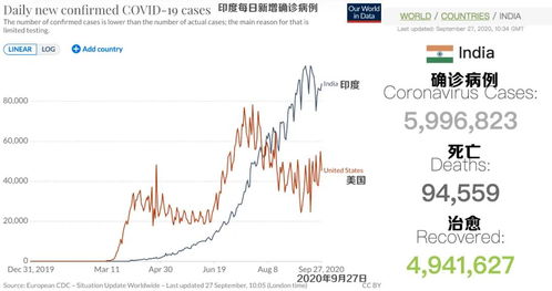 印度说新冠死亡率全球最低,德里最大的火葬场都不相信
