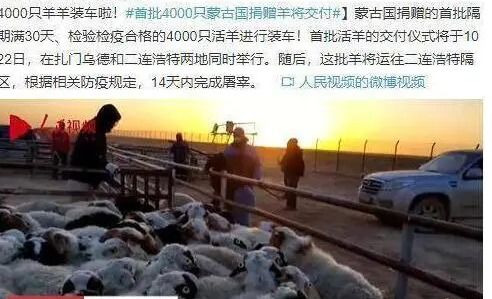 首批4000只蒙古国捐赠羊将交付 根据规定14天内完成屠宰