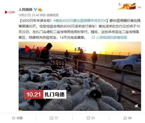 首批4000只蒙古国捐赠羊今日交付 代表着蒙古国人民美好的祝愿