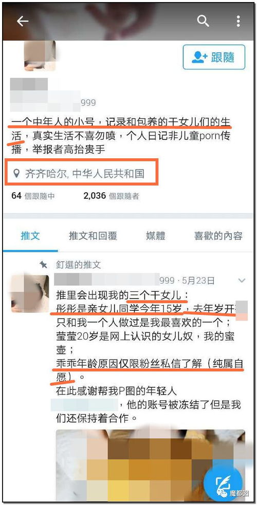 震惊全网 男子网络炫耀包养多名幼女 事件全解析