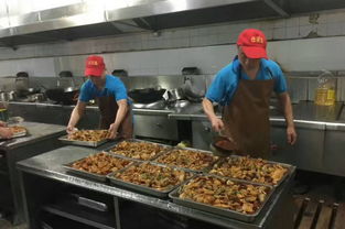 湖里大鱼繁殖迅猛 高校请师生免费吃 