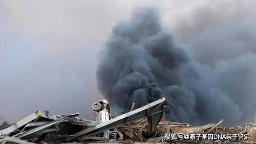 黎巴嫩首都爆炸已致70余人死亡,贝鲁特进入紧急状态