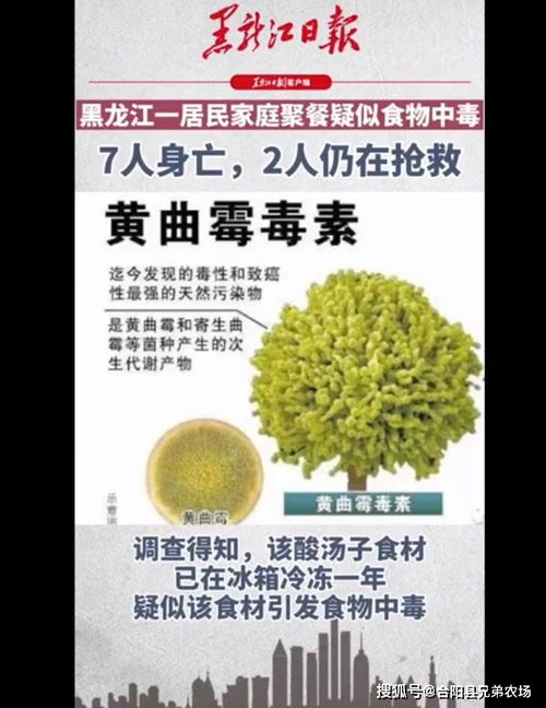 鸡西酸汤子中毒已致8人死亡原因曝光 黑龙江一家9口聚餐死亡事件始末