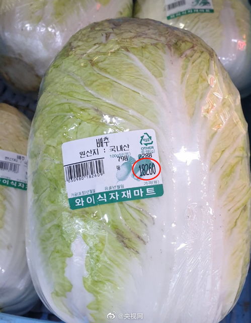 韩国人:白菜太贵了,不泡菜,吃现成的(韩国人认为中国人吃不起白菜)