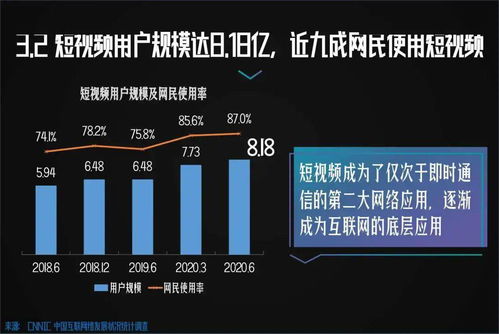 2020年中国网络视听发展研究报告:短视频用户利用率最高(2020年中国网购用户)
