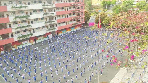家长看了也想学 深圳一学校一千多学生课间操齐跳 鬼步舞