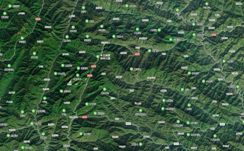 秦岭南坡40年来首次发现野生金钱豹,野生华南虎会出现吗