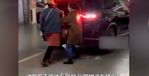 南京两女子占车位遇硬核司机,将她们顶得接连后退,强行顶进位