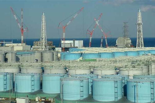 国际组织警告 福岛核污水入海或损害人类DNA 