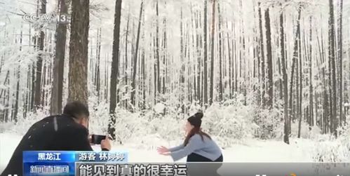 漠河降雪量已达入秋最大级别,积雪超10厘米 网友 广东还开空调呢 