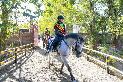 北京又添打卡胜地 首条城市马道正式开通 