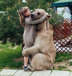 俄罗斯禁止养熊当宠物 但是这对俄罗斯夫妻把熊当孩子养