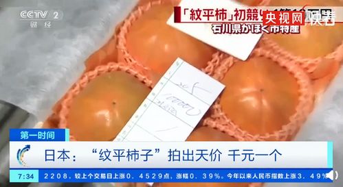 日本特产 纹平柿子 拍出10万天价