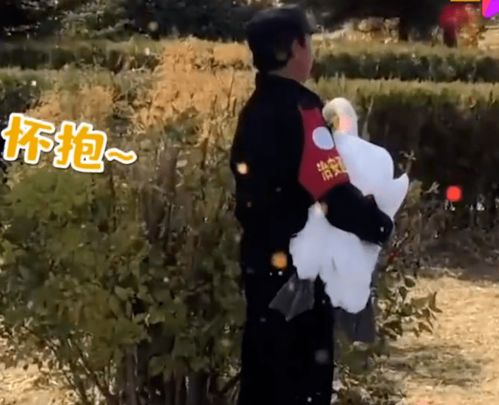 黑天鹅在宁波一公园亲吻喂锦鲤暖网友 真相令人惊讶(宁波有黑天鹅蛋糕吗)