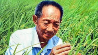 袁隆平高兴地说:推广海水稻1亿亩,全国粮食产量300亿公斤(袁隆平高兴得飙英文)