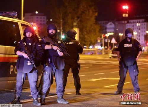 奥地利总理库尔茨强烈谴责当地时间2日晚发生的袭击(奥地利库尔兹照片)