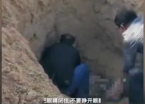 母亲节,儿子活埋79岁母亲案件背后 我想和你谈谈死亡