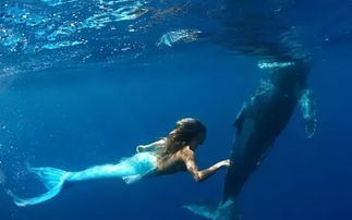 海面突然变形,深海“鲸鱼”两人瞬间出现