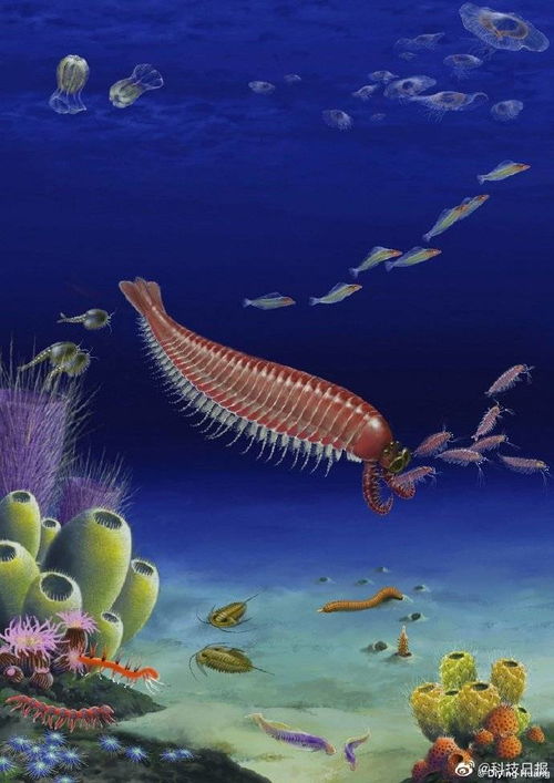 五亿年前四不像动物(章麒麟虾) 虾的身体,五只眼睛,钳子很粗