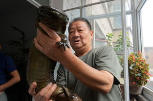 96岁的老人不愿意吃娃娃鱼,4年长1米多,重十斤多斤(上海96岁老人)