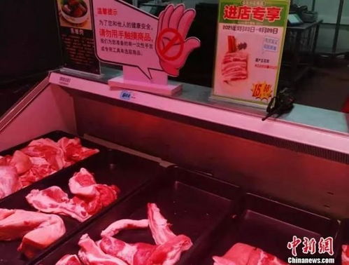 十几元一斤猪肉重现市场 受猪周期和非洲猪瘟(一斤猪肉一斤牛肉哪个重)