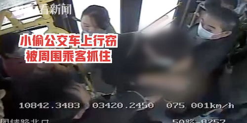 视频 有小偷 男子公交车行窃想跑 头被车门卡住了