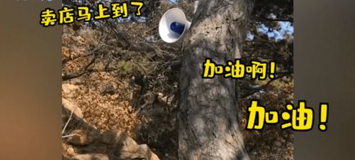 硬核 辽宁一景区用喇叭给爬山游客鼓劲 豆腐卷大葱,越走越轻松